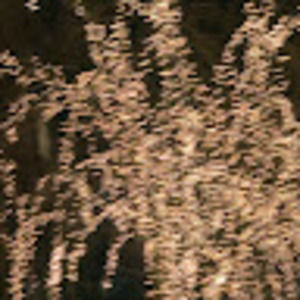 Meet your Posher, Mia